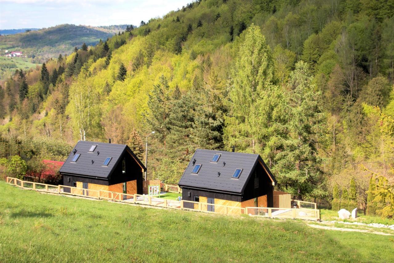 Projekt Swit - Domki Z Prywatna Jacuzzi I Sauna Żywiec Zewnętrze zdjęcie